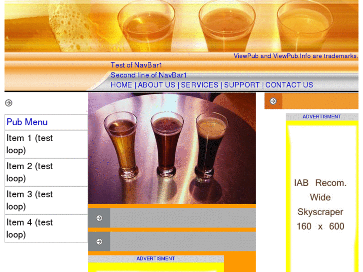 www.viewpub.info