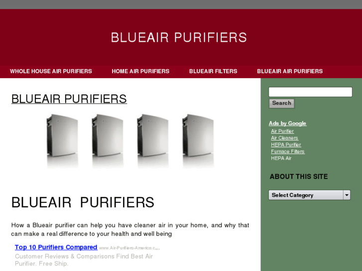 www.blueairpurifiernews.com