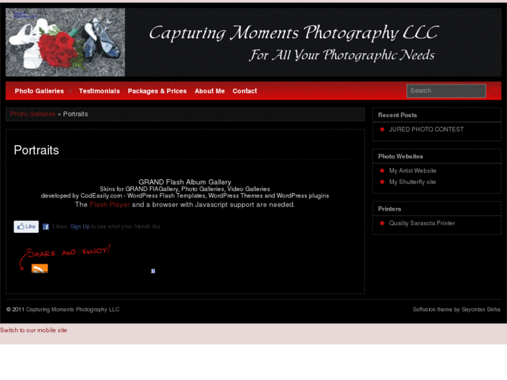 www.capturingmomentsbyshirley.com