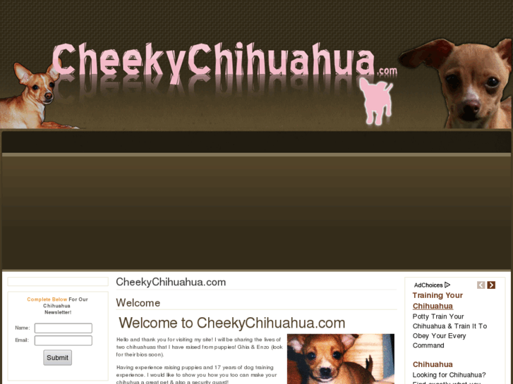 www.cheekychihuahua.com