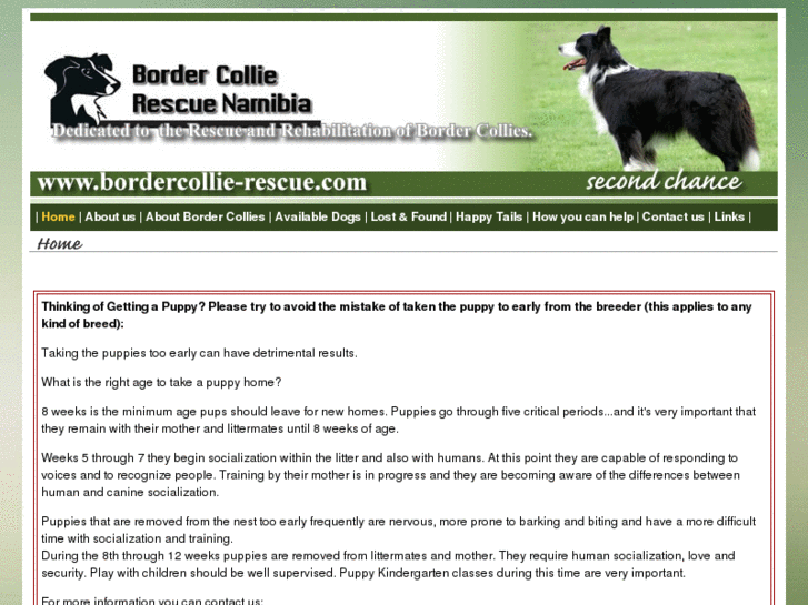 www.bordercollie-rescue.com