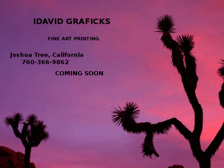 www.idavidgraficks.com