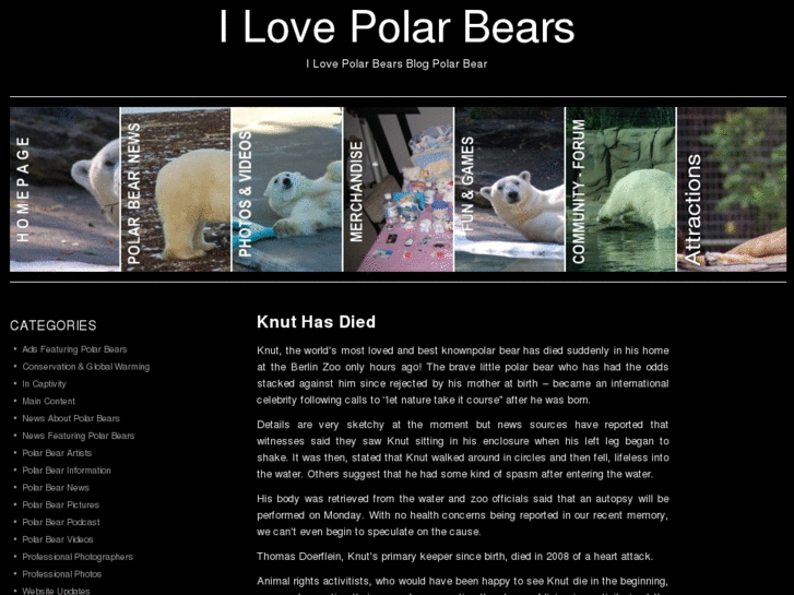 www.ilovepolarbears.net