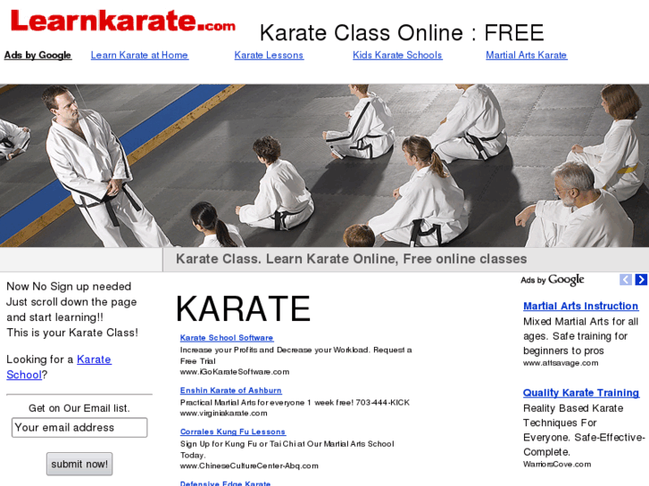 www.learnkarate.com