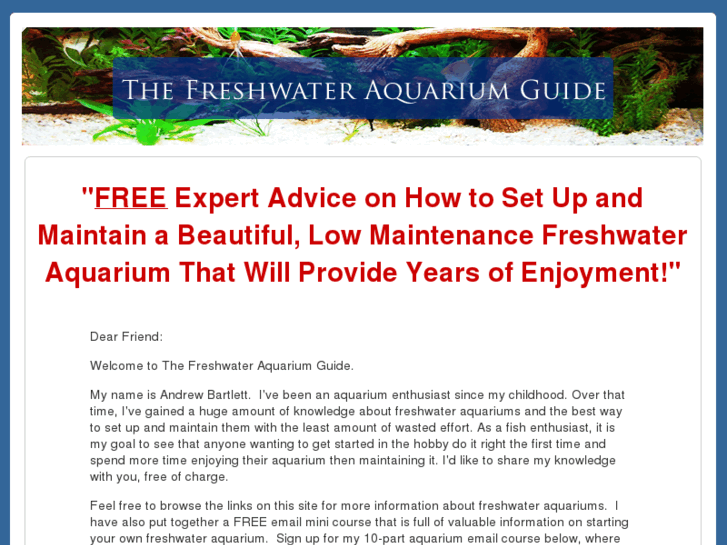 www.thefreshwateraquariumguide.com