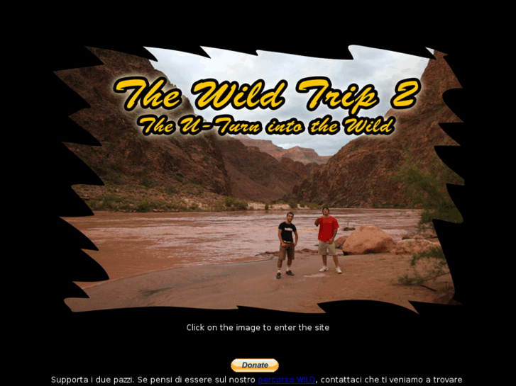 www.thewildtrip.com