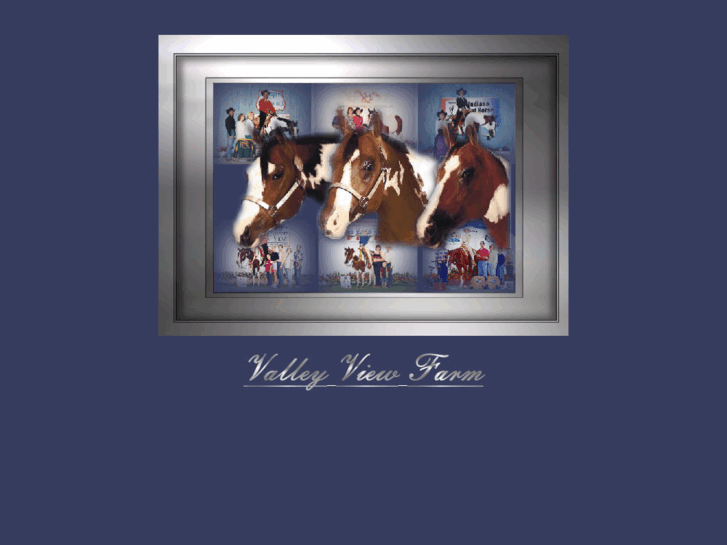 www.valleyviewpainthorses.com