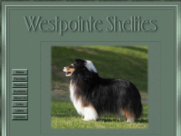 www.westpointeshelties.com