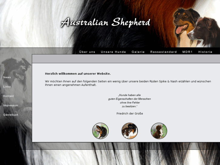 www.australian-shepherd.com