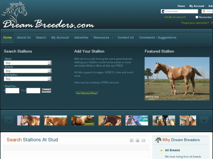 www.dreambreeders.com