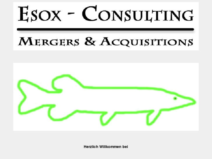 www.esox-consulting.com