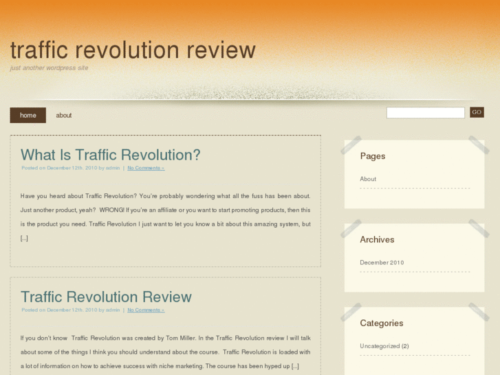 www.traffic-revolutionreview.com