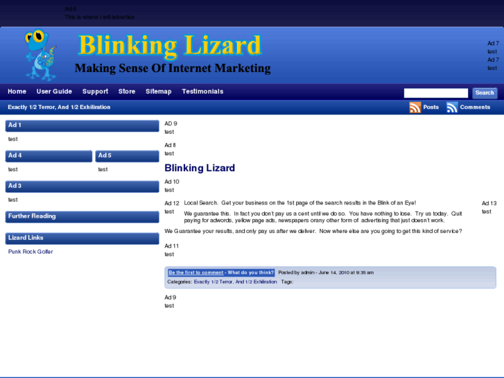 www.blinkinglizard.com