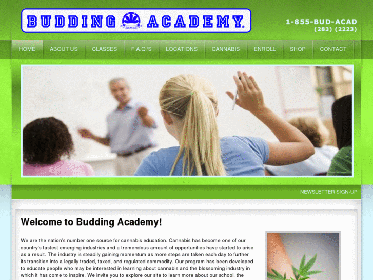 www.buddingacademy.com