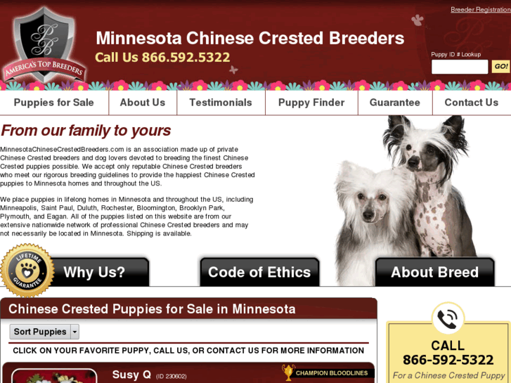 www.minnesotachinesecrestedbreeders.com