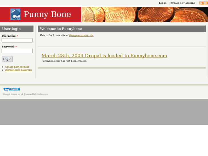 www.punnybone.com