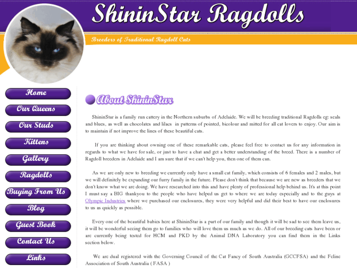 www.shininstar-ragdolls.com