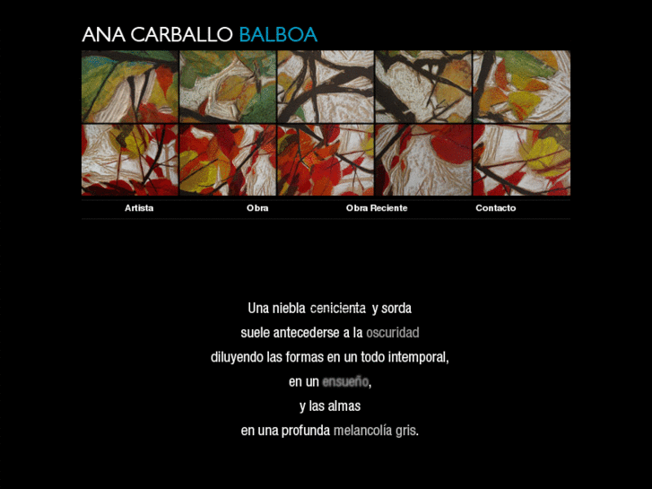 www.anacarballobalboa.com