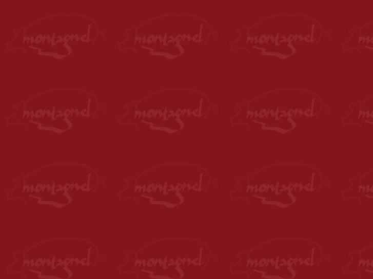 www.montagnel.com