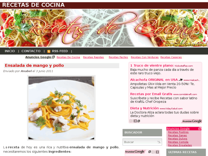 www.nuevasrecetas.com