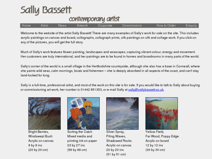 www.sallybassett.co.uk