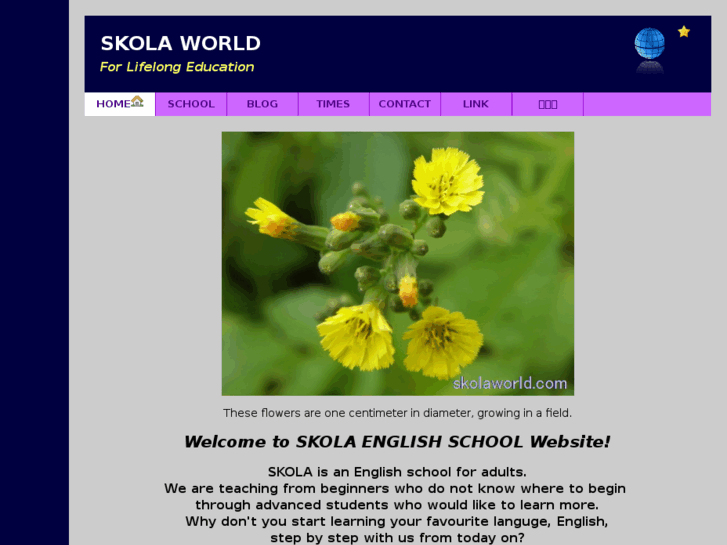 www.skolaworld.com