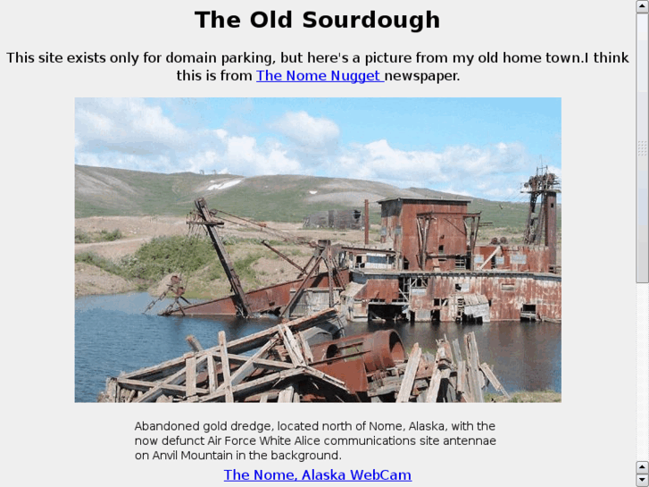 www.theoldsourdough.com