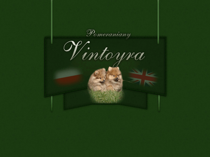 www.vintoyra.com.pl