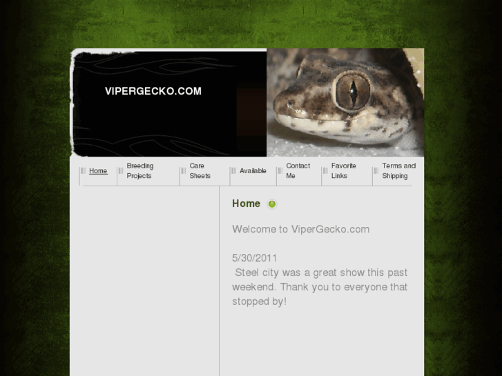 www.vipergecko.com