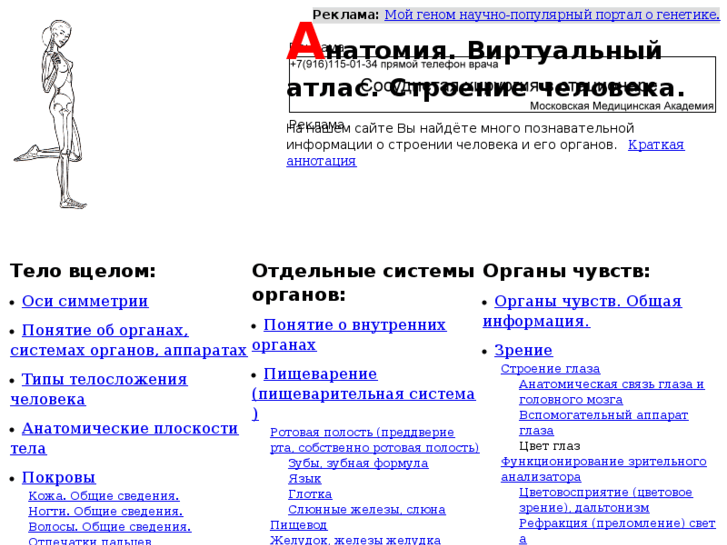 www.e-anatomy.ru