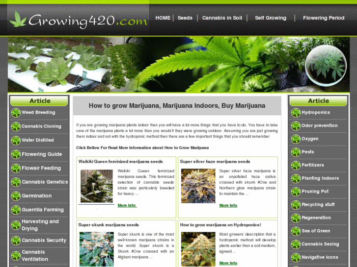 www.growing420.com