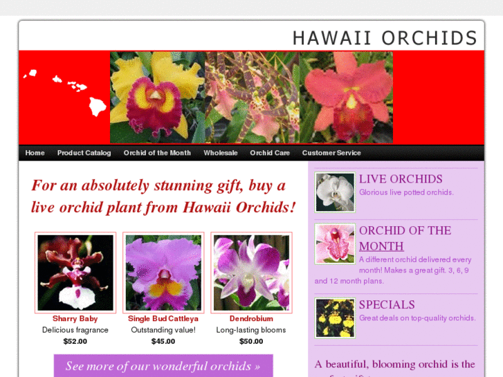 www.hawaiiorchids.com