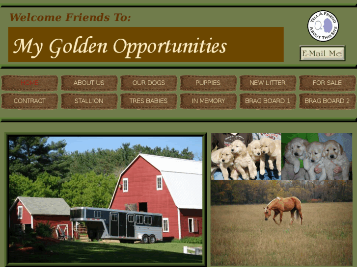 www.mygoldenopportunities.com