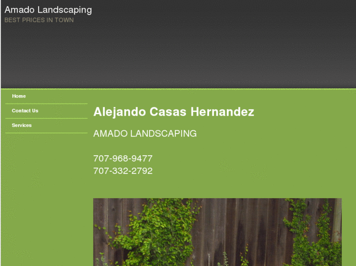 www.amadolandscaping.net