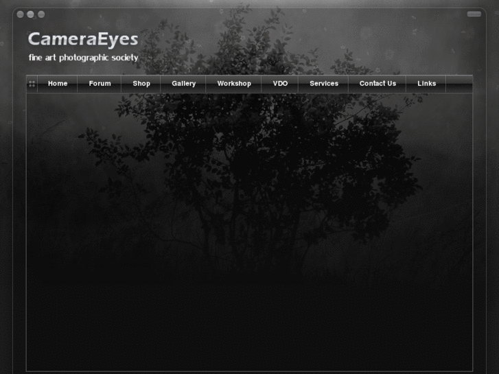 www.cameraeyes.net