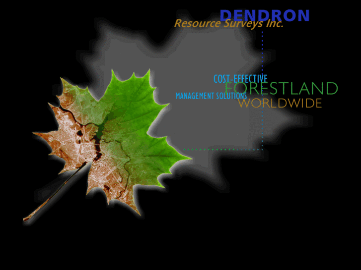 www.dendron.com