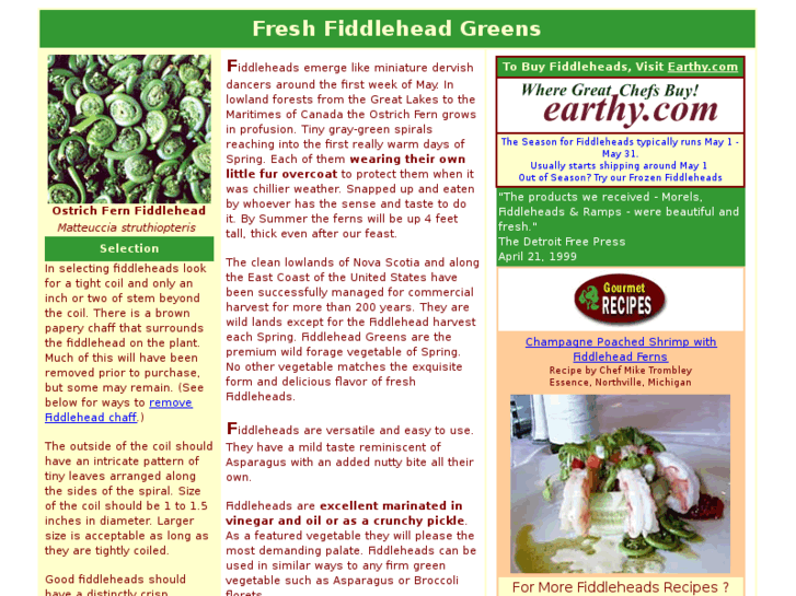 www.we-have-fiddleheads.com