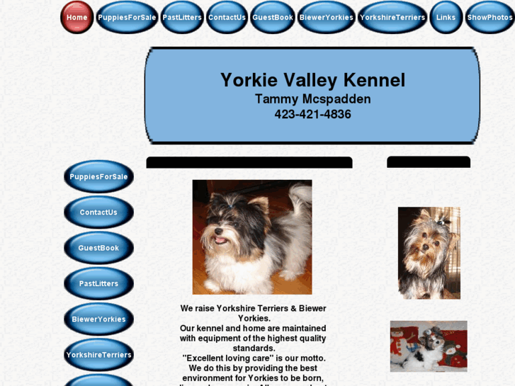 www.yorkievalleykennel.com