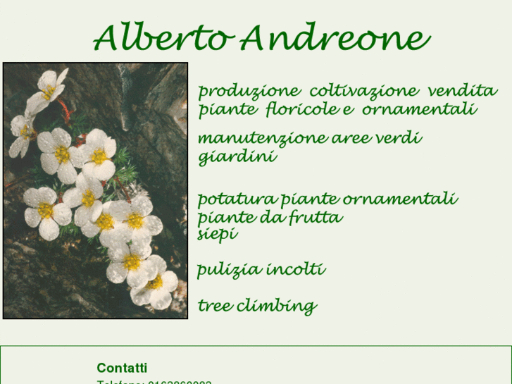 www.albertoandreone.com