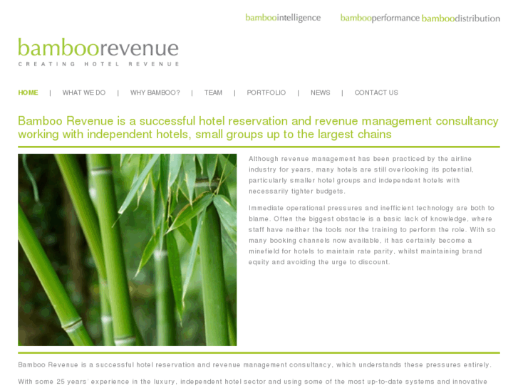 www.bamboorevenue.co.uk