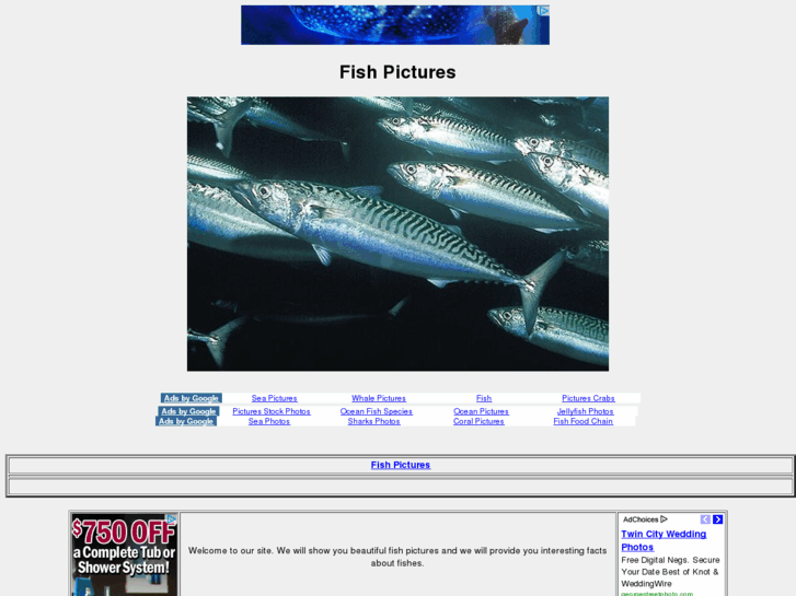 www.fishpictures.co.uk