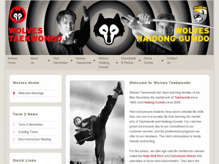 www.mountainwolvestaekwondo.com