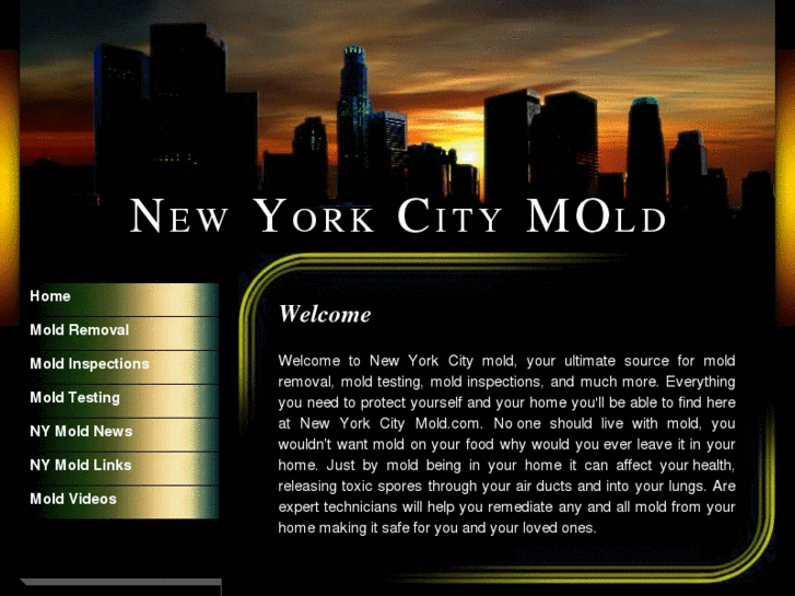 www.newyorkcitymold.com