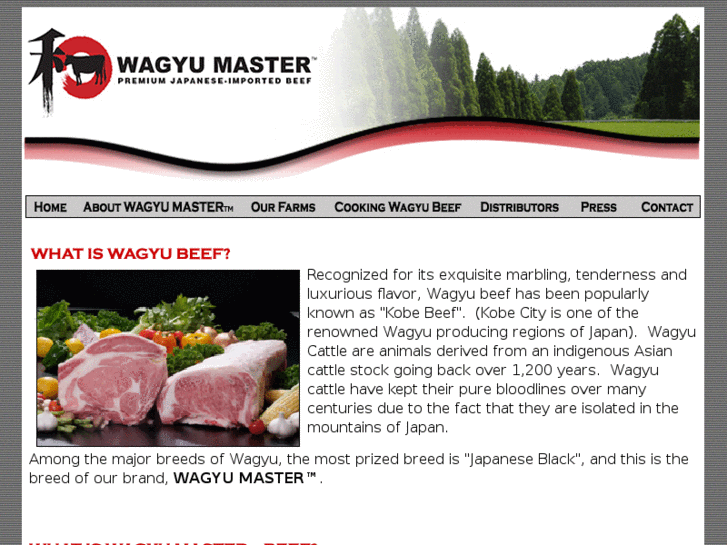 www.wagyumasterbeef.com