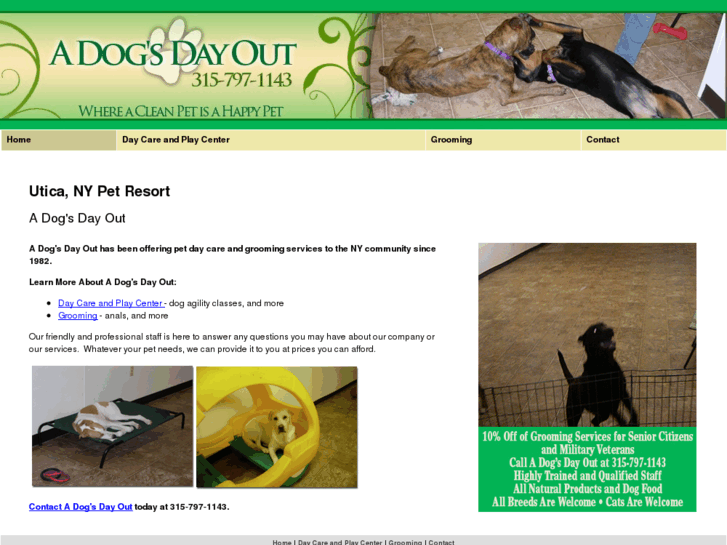 www.adogsdayout-ny.com