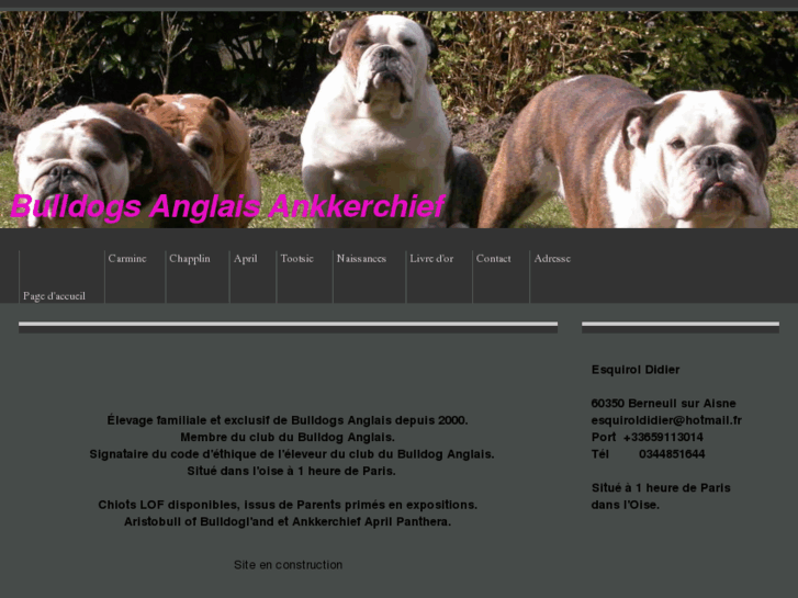 www.ankkerchief-bulldogs-anglais.com