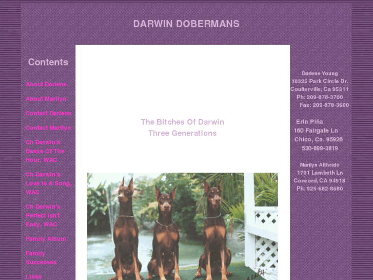 www.darwindobes.com