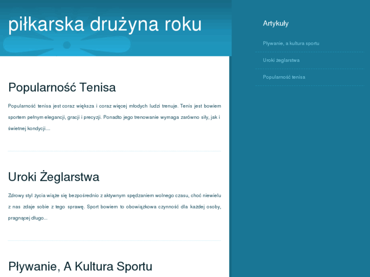 www.druzyna-roku.com