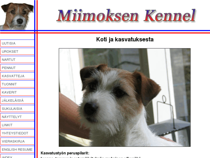 www.miimoksen.com