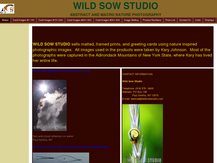 www.wildsowstudio.com